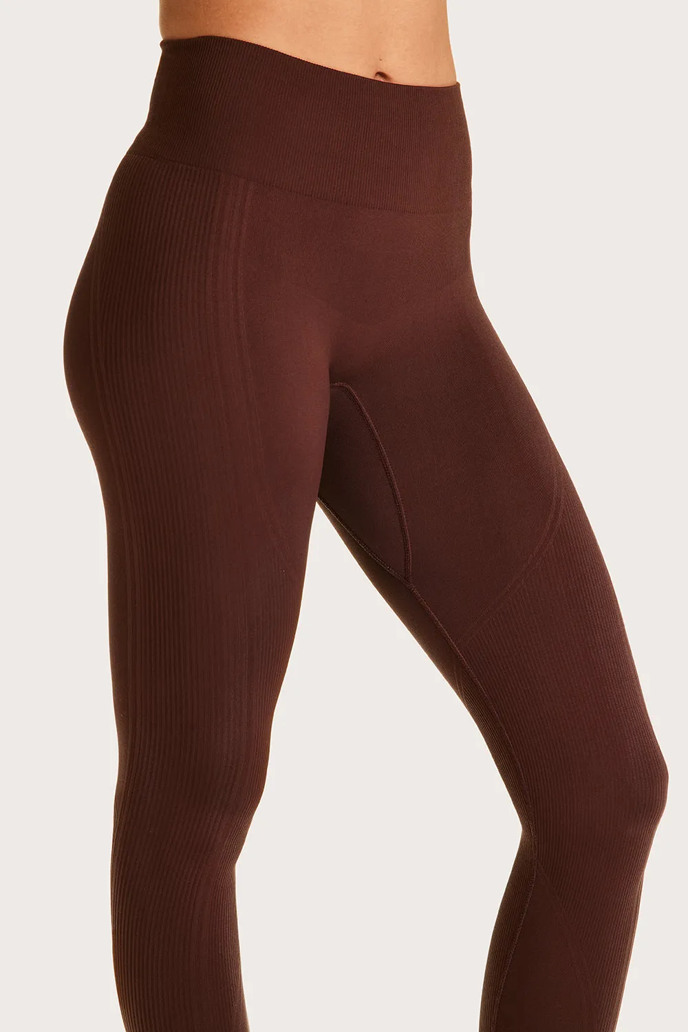 Barre Stirrup Leggings