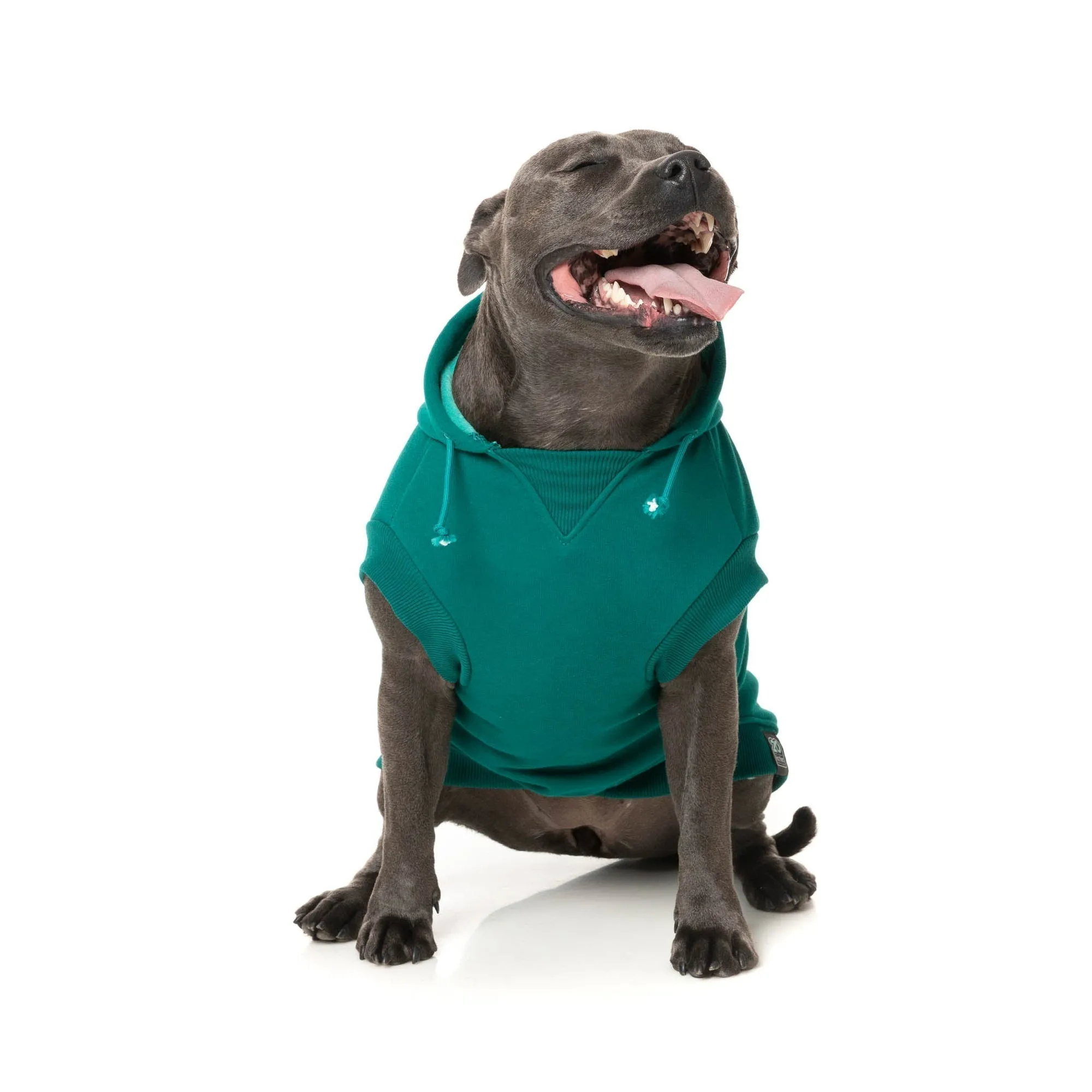 FuzzYard Dog Apparel Wooftagram Hoodie Green Size 1 XXSmall***