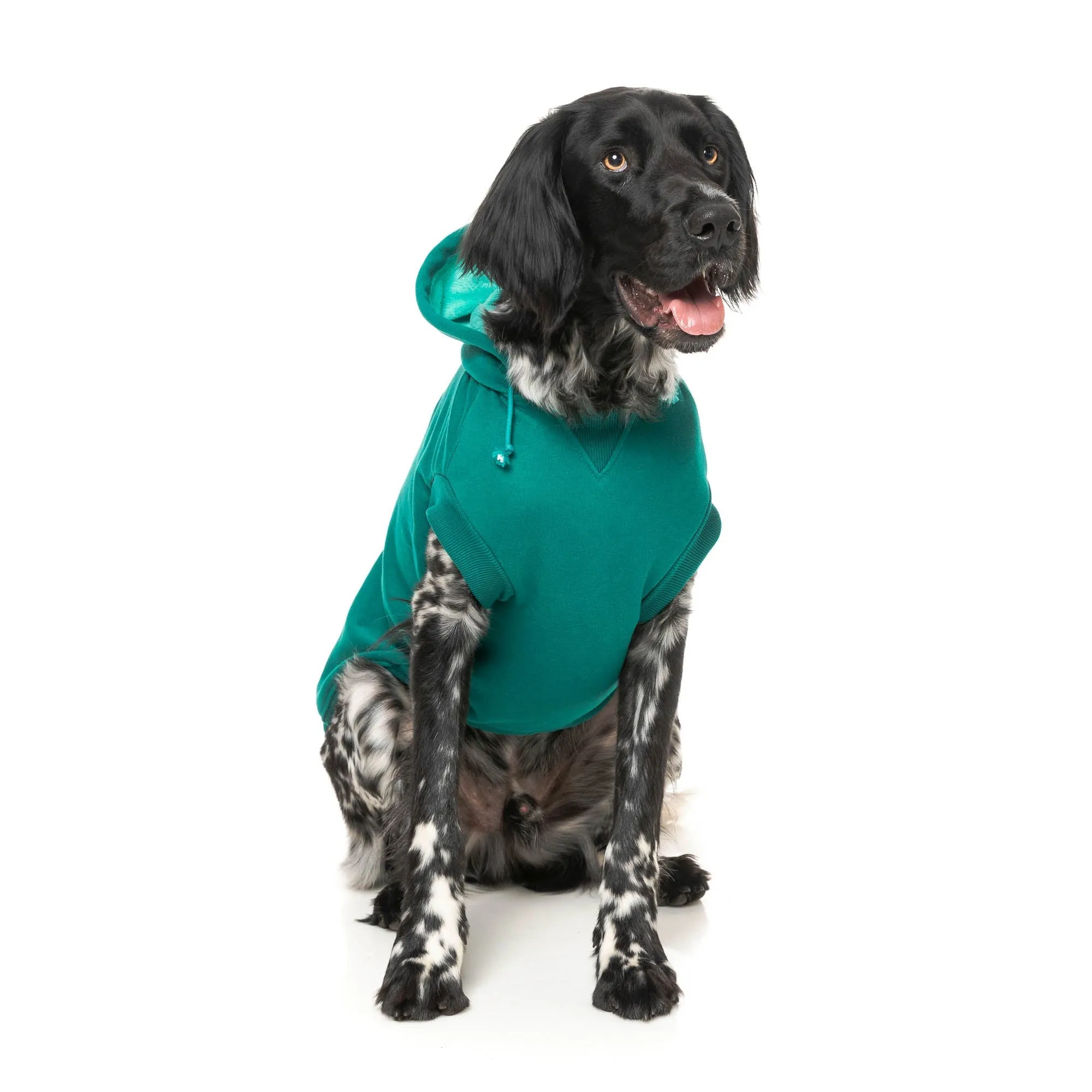 FuzzYard Dog Apparel Wooftagram Hoodie Green Size 1 XXSmall***